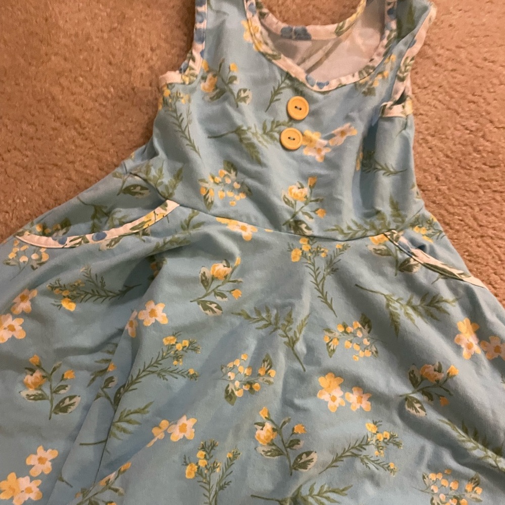Size 4T Eleanor Rose lap dress